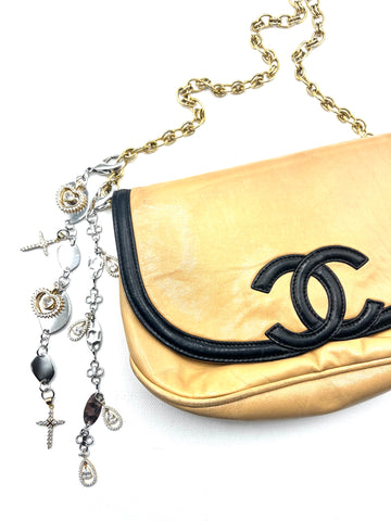 The Bag Charm