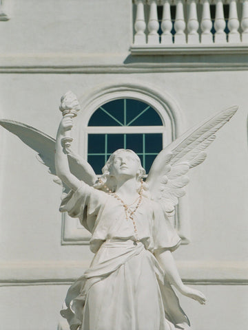 The Camelia Rosary